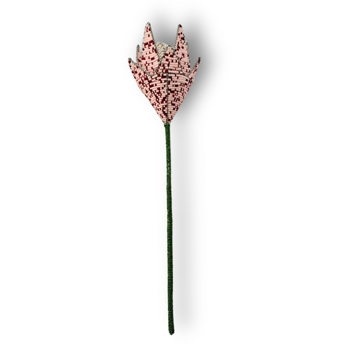 Beaded Protea - Pink