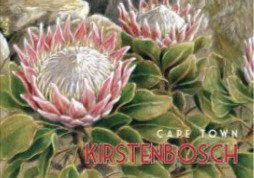 Wooden Post Card - Kirstenbosch