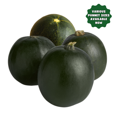 Gem Squash (Various Punnet Options)